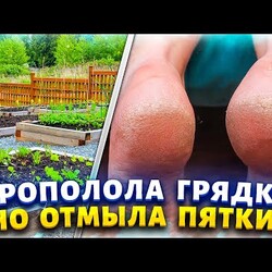 Я не боюсь носить открытую обувь, теперь мои пяточки как у младенца. Убрать натоптыши и сухие мозоли