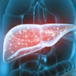 Программа Печень_ PRO Здоровье из Сибири☘️