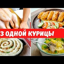 Много блюд ИЗ ОДНОЙ КУРИЦЫ