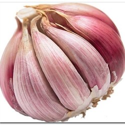 Чеснок и здоровье