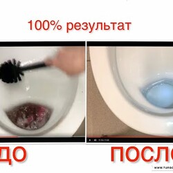 Секреты идеального унитаза