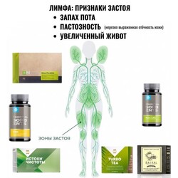 Помощь Лимфосистеме_СИБИРСКОЕ ЗДОРОВЬЕ