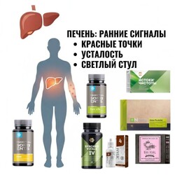 Помощь печени_СИБИРСКОЕ ЗДОРОВЬЕ