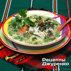 Суп из щавеля с добавкой шпината на овощном бульоне - Рецепты Джуренко
