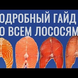 Гайд по лососям. Как выбирать, как солить, как выжать из рыбы всё.