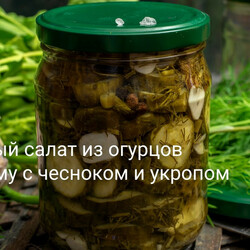Пряный салат из огурцов на зиму с чесноком и укропом
