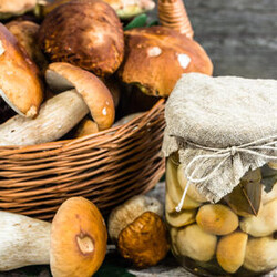 Советы грибников: как выбрать грибы для засолки и 2 способа засолки грибов