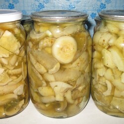 Грузди под железную крышку: можно ли закрывать, какие крышки использовать, рецепты