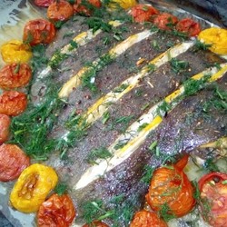 Запечённая в помидорах камбала. Очень вкусно