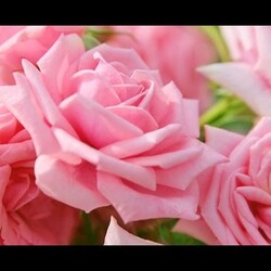 Варенье из лепестков роз