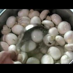 Маринованные шампиньоны,домашние