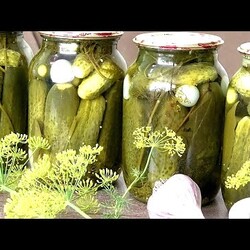 Любимый рецепт МАРИНОВАННЫХ ОГУРЦОВ без стерилизации /Favorite recipe for PICKLED CUCUMBERS