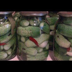 Маринованные огурцы. (Pickles)