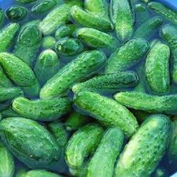 Огурцы по-корейски на зиму: самые вкусные рецепты