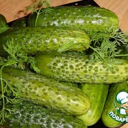 Огурцы малосольные