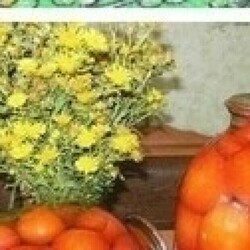 Салат”Алёнка”на зиму - Скатерть-Самобранка - медиаплатформа МирТесен