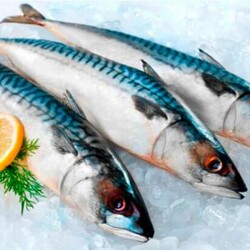 Как я теперь готовлю скумбрию за 20 минут: без запекания и жарки — в молоке - Вкусные рецепты - медиаплатформа МирТесен