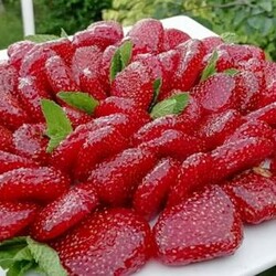 Лучше всяких конфет. Жевательные цукаты из клубники — не оторваться - БУДЕТ ВКУСНО! - медиаплатформа МирТесен