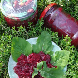 Пикантный салат из свеклы и кабачков