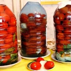 Квашеные помидоры в домашних условиях, как бочковые - Вкусные рецепты - медиаплатформа МирТесен