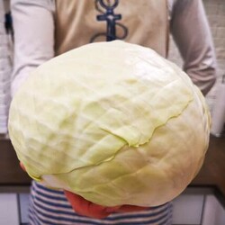 Готовлю капусту «по-немецки», получается очень сочно и вкусно - БУДЕТ ВКУСНО! - медиаплатформа МирТесен