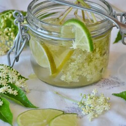 Вкусный квас из бузины: как приготовить газированный напиток