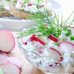 Простой салат из редиски с творогом - Четыре вкуса - медиаплатформа МирТесен
