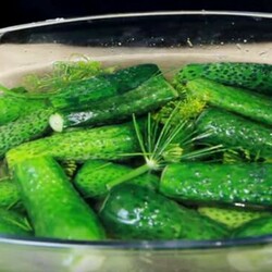 Малосольные огурцы на минералке - Четыре вкуса - медиаплатформа МирТесен