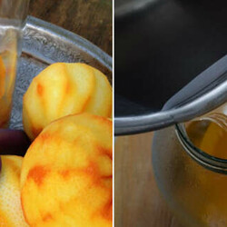 Оранчелло - БУДЕТ ВКУСНО! - медиаплатформа МирТесен