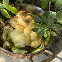 Жженая цветная капуста - БУДЕТ ВКУСНО! - медиаплатформа МирТесен