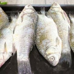 Жарим карасей по совету рыбака. Чистить и выбирать кости больше не нужно, они прожарились - Steak Lovers - медиаплатформа МирТесен