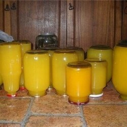 Тыквенный сок с апельсином - Скатерть-Самобранка - медиаплатформа МирТесен