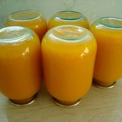 Тыквенный сок с апельсинами и лимонами на зиму