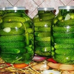 Рецепт малосольных огурчиков по-казацки - Скатерть-Самобранка - медиаплатформа МирТесен