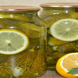 Вкуснейшие хрустящие огурчики «Пражские» без уксуса - Скатерть-Самобранка - медиаплатформа МирТесен