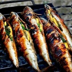 Фаршированная скумбрия на углях: в разы вкуснее, чем шашлыки - Вкусные рецепты - медиаплатформа МирТесен