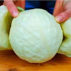 Особенно вкусное блюдо из капусты на сковороде: быстро, просто вкусно - Вкусные рецепты - медиаплатформа МирТесен