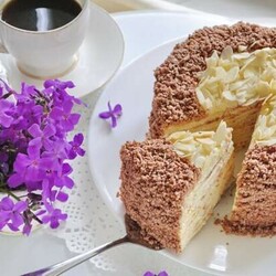 Торт Сметанник на сковороде - БУДЕТ ВКУСНО! - медиаплатформа МирТесен