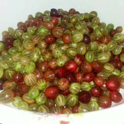 Крыжовник с апельсином на зиму без варки. Вкусно и полезно! - Вкусные рецепты - медиаплатформа МирТесен