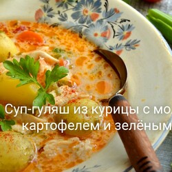 Суп-гуляш из курицы с молодым картофелем и зелёным луком