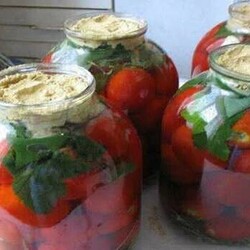 Квашеные помидоры с горчицей по вкусу как бочковые - Скатерть-Самобранка - медиаплатформа МирТесен