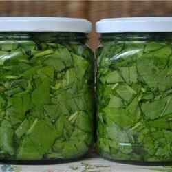 Щaвeль кoнcepвиpoвaнный. - Скатерть-Самобранка - медиаплатформа МирТесен