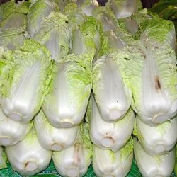 Не успеваю покупать «пекинку»-готовлю из нее и обед и ужин для своей диеты. Похудела на 2кг за неделю - Вкусные рецепты - медиаплатформа МирТесен