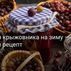 Желе из крыжовника на зиму — простой рецепт