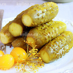 Огурцы малосольные с алычой – рецепт приготовления с фото от Kulina.Ru