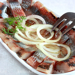 Засолка сельди в домашних условиях – рецепт приготовления с фото от Kulina.Ru