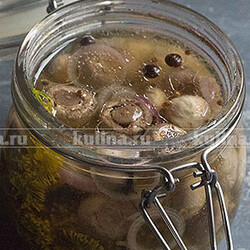 Шампиньоны маринованные в домашних условиях