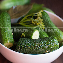 Малосольные огурцы холодным способом