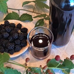 настойка из ежевики