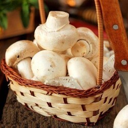 Нужно ли чистить и мыть шампиньоны: правила и рекомендации